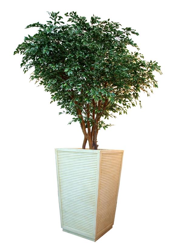 ARTIFICIAL FICUS HAWAIIAN TREE