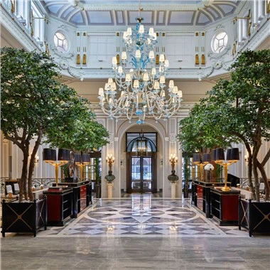 Τεχνητές μαύρες ελιές για την αίθουσα